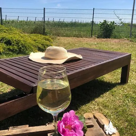 Fewo - Am Weinberg Mit Garten Apartmán Bissersheim