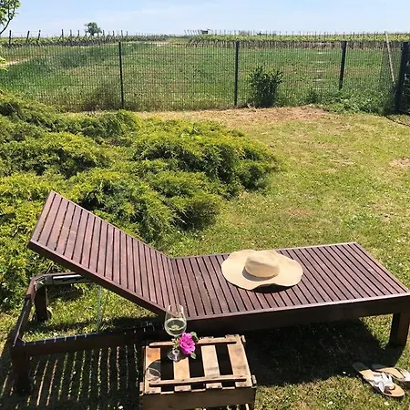 Fewo - Am Weinberg Mit Garten