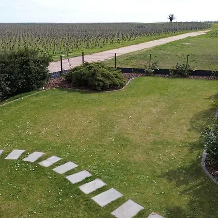 Fewo - Am Weinberg Mit Garten Apartmán Bissersheim