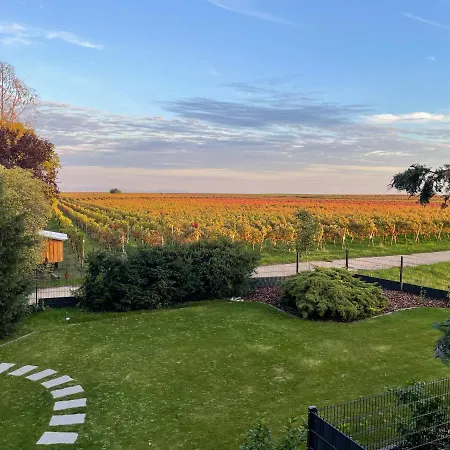 Fewo - Am Weinberg Mit Garten Bissersheim